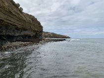 Pacific and pacified